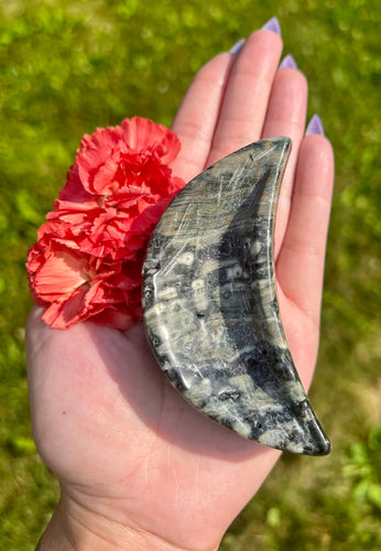 3.75” Kambaba Jasper Crescent Moon Dish