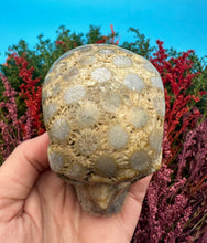 Load image into Gallery viewer, 2.75” Fossil Coral Skull Carving