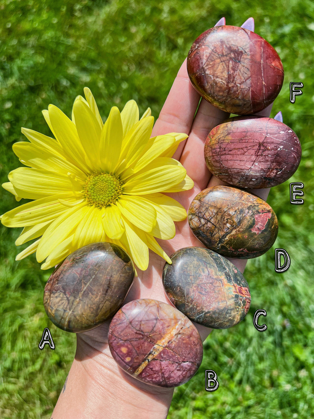 Cherry Creek Jasper Pillow Palm Stone