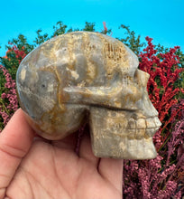Load image into Gallery viewer, 2.75” Fossil Coral Skull Carving
