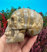 Load image into Gallery viewer, 2.75” Fossil Coral Skull Carving