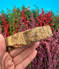 Load image into Gallery viewer, 2.75” Petrified Wood Branch