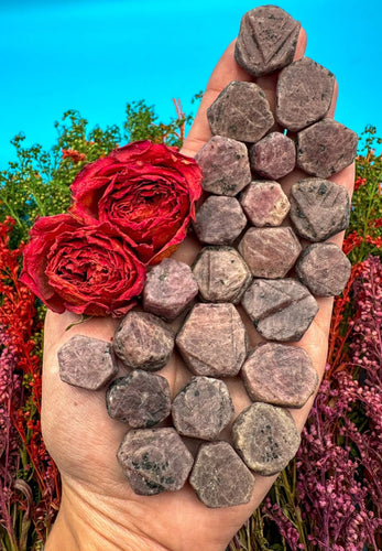 Raw Hexagonal “Record Keeper” Ruby Crystal