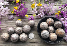 Load image into Gallery viewer, Fossil Coral Sphere