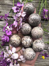 Load image into Gallery viewer, Fossil Coral Sphere