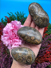 Load image into Gallery viewer, Fossil Coral Palm Stone