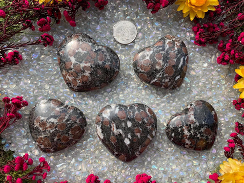 Garnet in Astrophyllite Heart