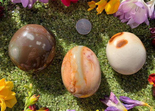 Polychrome Jasper Palm Stone