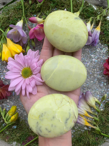 Infinite Serpentine Palm Stone