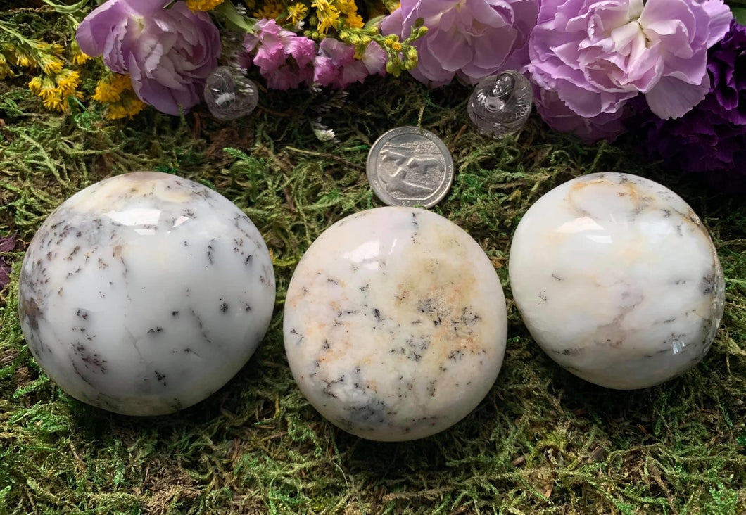Dendritic White Opal Agate Palm Stones