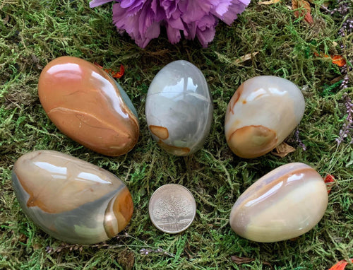 Polychrome Jasper Palm Stone