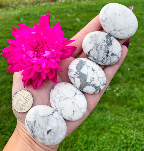 Howlite Pillow Palm Stone