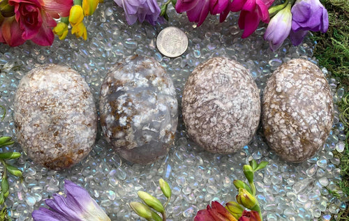 Fossil Agate Palm Stone