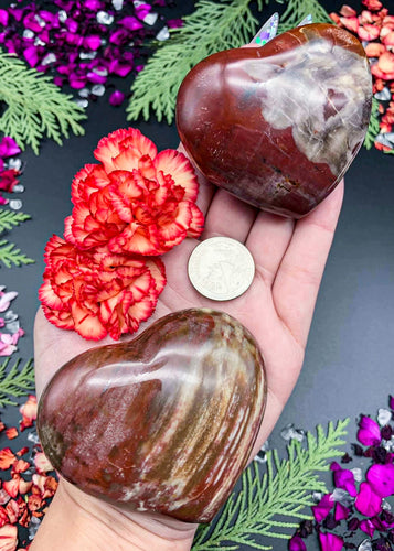 2.5-3” Petrified Wood Heart