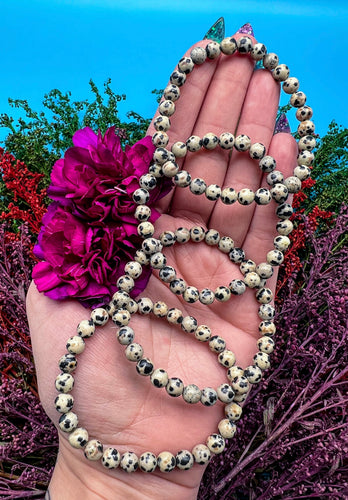 6mm Dalmatian Jasper Bracelet