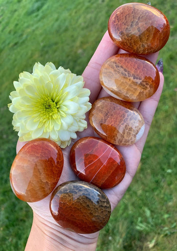 Snakeskin Carnelian Pillow Palm Stone