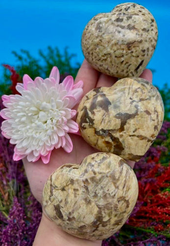 2.5-2.75” Zebradorite Heart