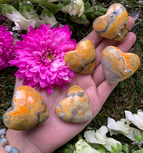 Bumblebee Jasper Heart