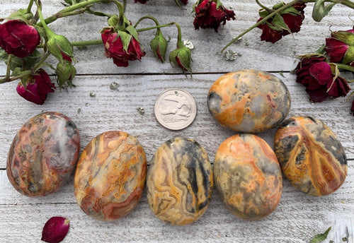 Crazy Lace Agate Pillow Palm Stone