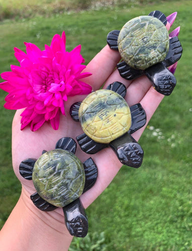 2.5” Serpentine and Onyx Turtle Carving