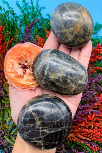 Black Moonstone Palm Stone