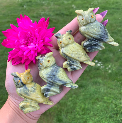 2.5” Serpentine Owl Carving