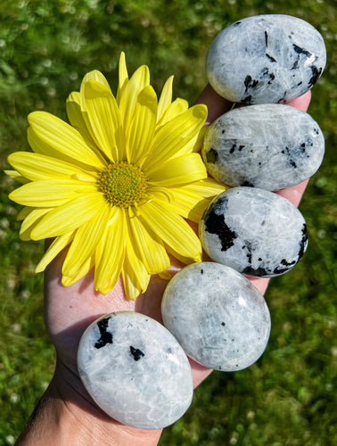 Rainbow Moonstone Pillow Palm Stone
