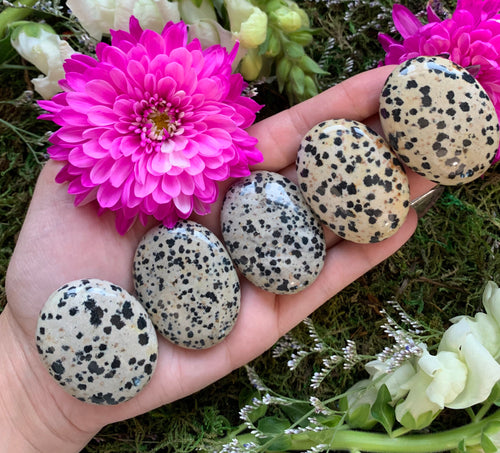 Dalmatian Jasper Pillow Palm Stone
