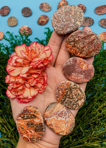 Leopardskin Jasper Pocket Flat