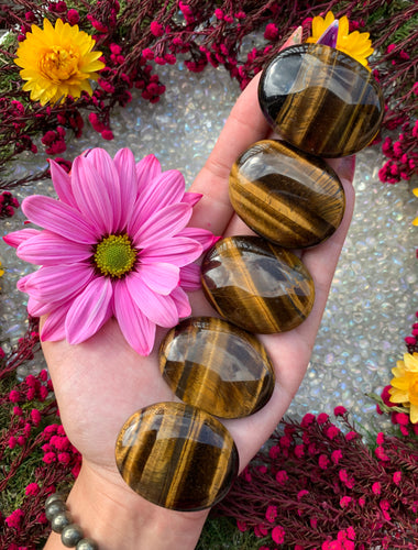 2” Tigers Eye Pillow Palm Stone