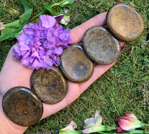 Bronzite Worry Stone