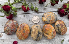 Load image into Gallery viewer, Crazy Lace Agate Pillow Palm Stone