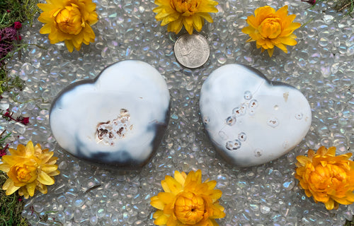 Blue Orca Agate Hearts