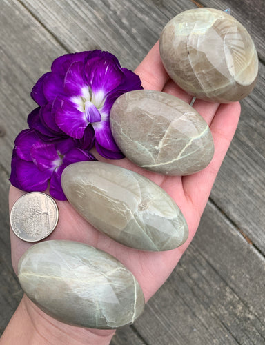 Garnierite in Feldspar aka Green Moonstone Palm Stone