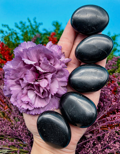 Shungite Pillow Palm Stone