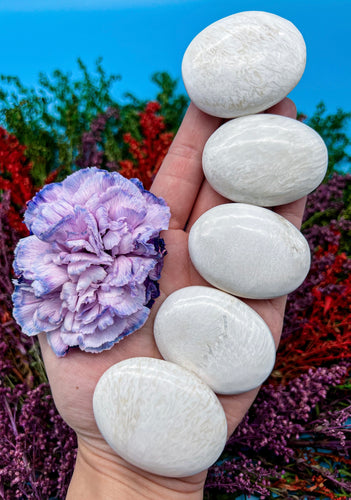 Scolecite Pillow Palm Stone