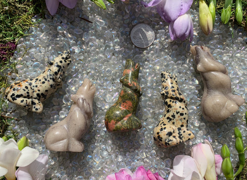 Assorted Howling Wolf Carving