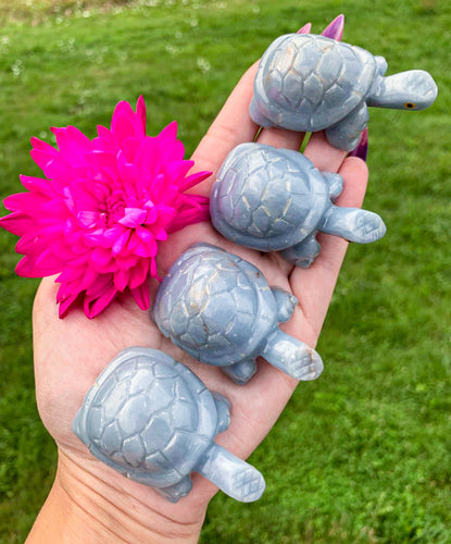 2.5” Angelite Turtle Carving
